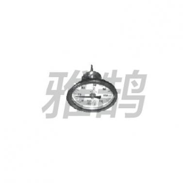 WSS系列双金属温度计